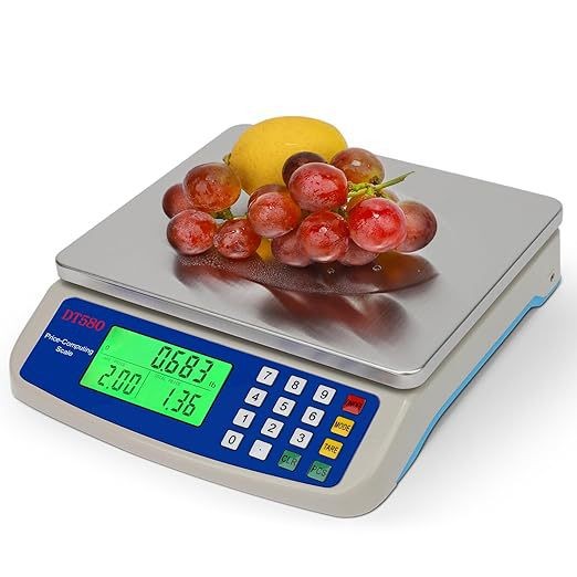 Digital Mini Travel Scale, Foldable Kitchen Scale for Home and Barbecue