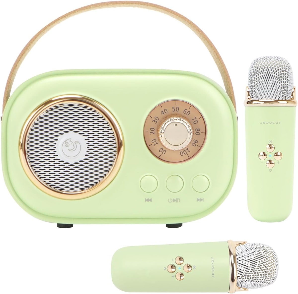 Kids Mini Karaoke Machine, Portable Bluetooth Speaker with 2 Wireless Mics, Green for Family Parties